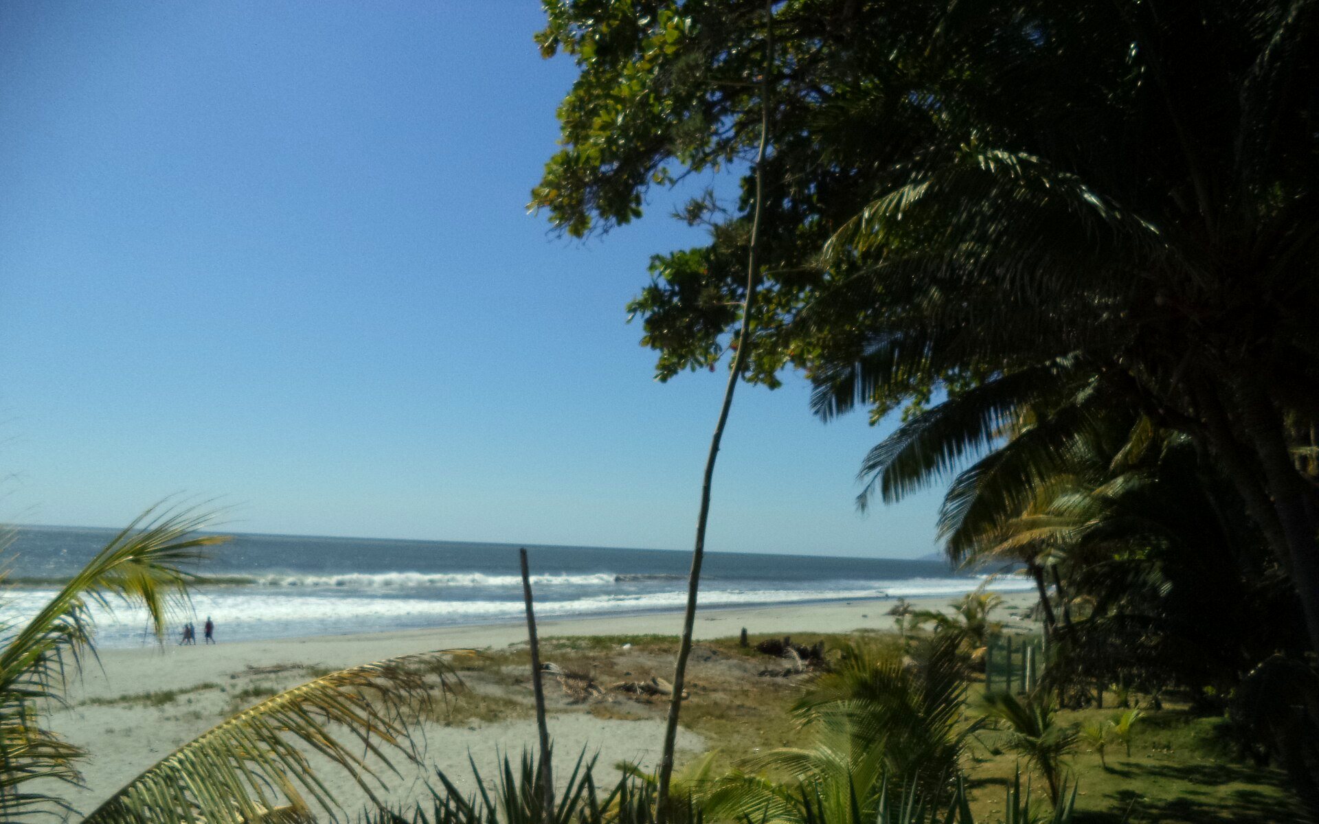 Pacific Ocean, beach and palms at Playa San Diego in La Libertad, El Salvador